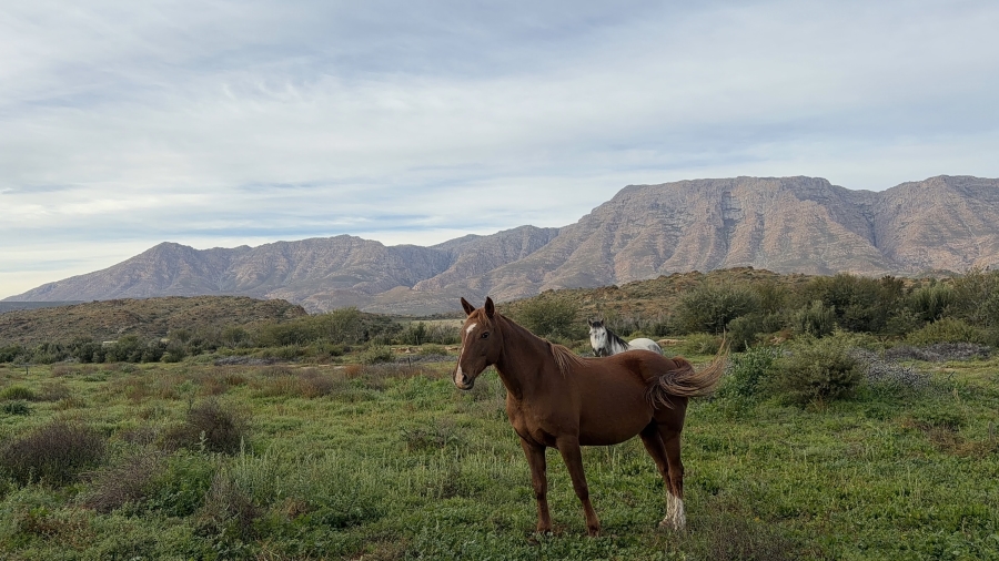 Commercial Property for Sale in Barrydale Western Cape